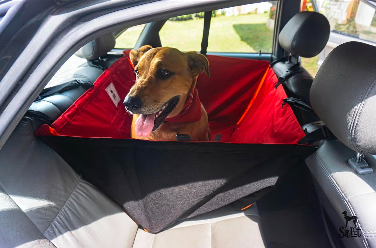 Protector de Automóvil para Mascotas Srpet Talla L – Seguridad, Estilo y Comodidad 🚗🐾