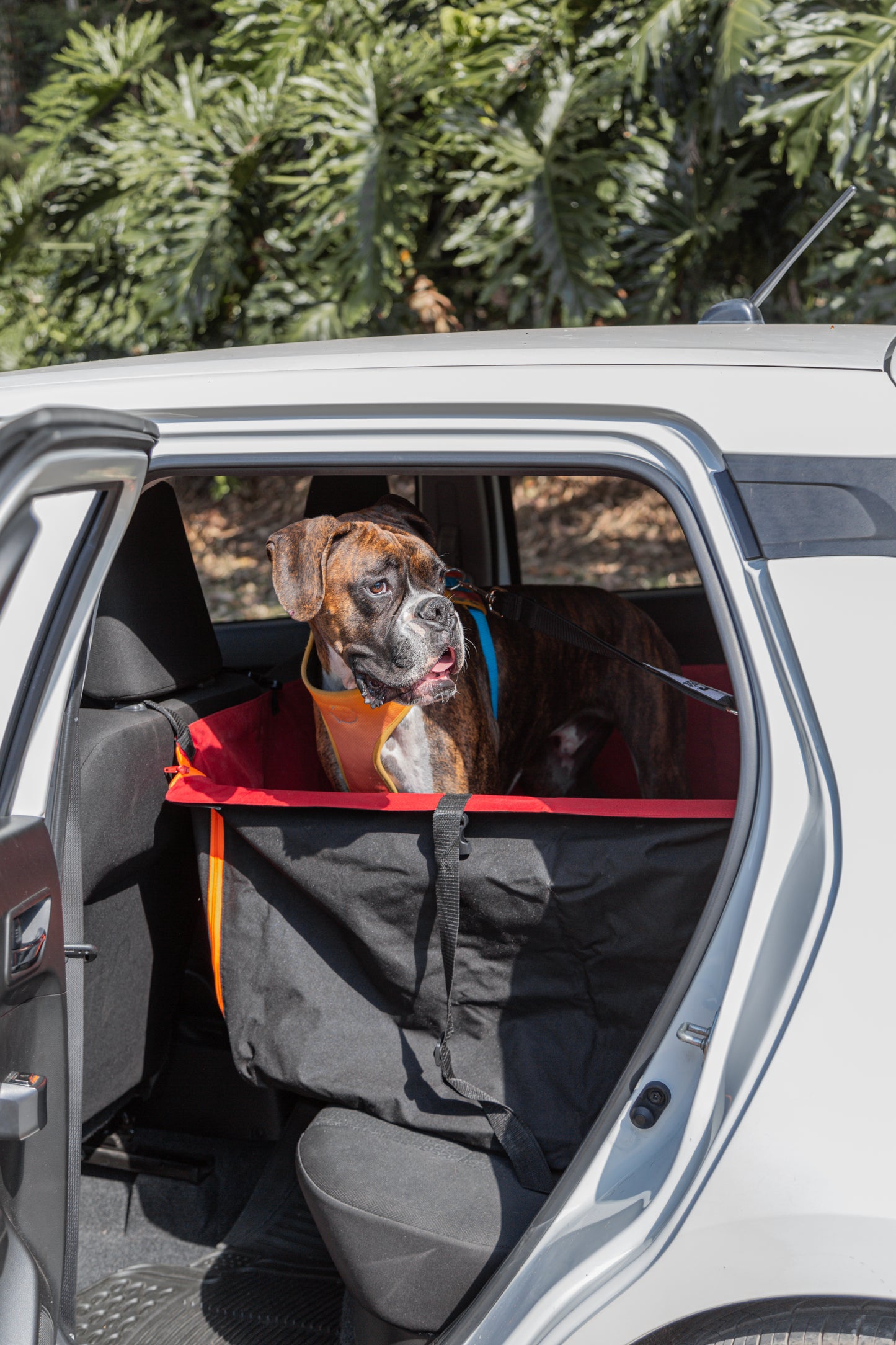 Protector de Automóvil para Mascotas Srpet Talla L – Seguridad, Estilo y Comodidad 🚗🐾