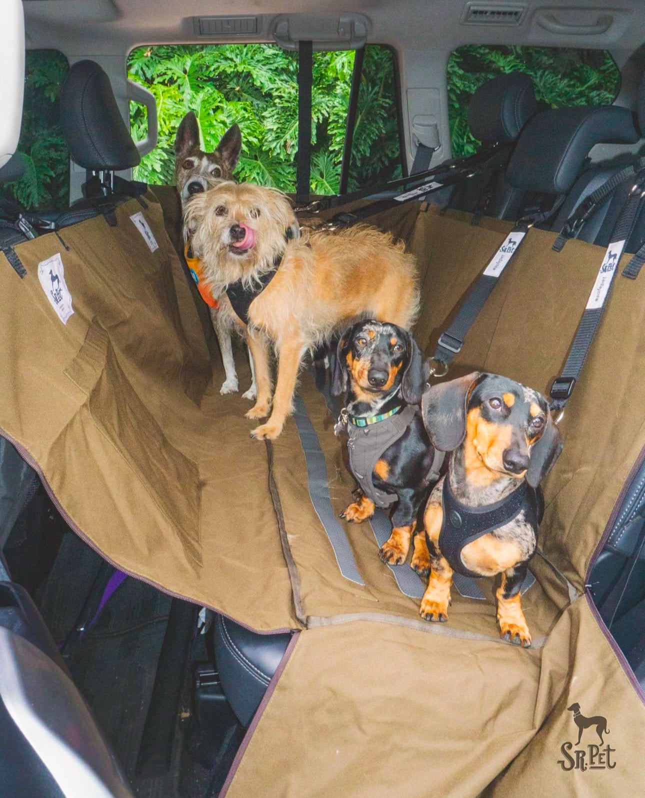 Protector de Automóvil para Mascotas Srpet Talla L – Seguridad, Estilo y Comodidad 🚗🐾