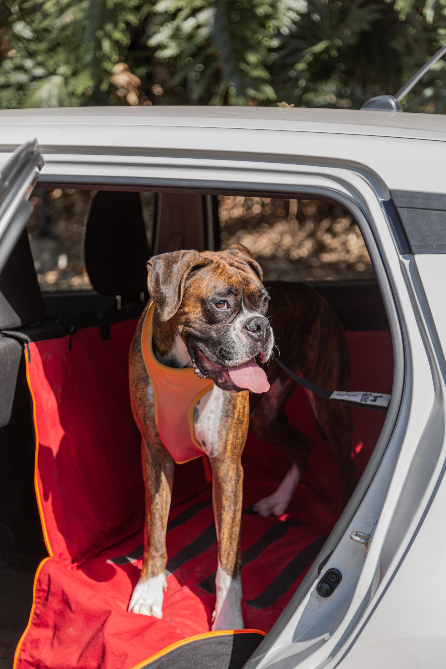 Protector de Automóvil para Mascotas Srpet Talla L – Seguridad, Estilo y Comodidad 🚗🐾
