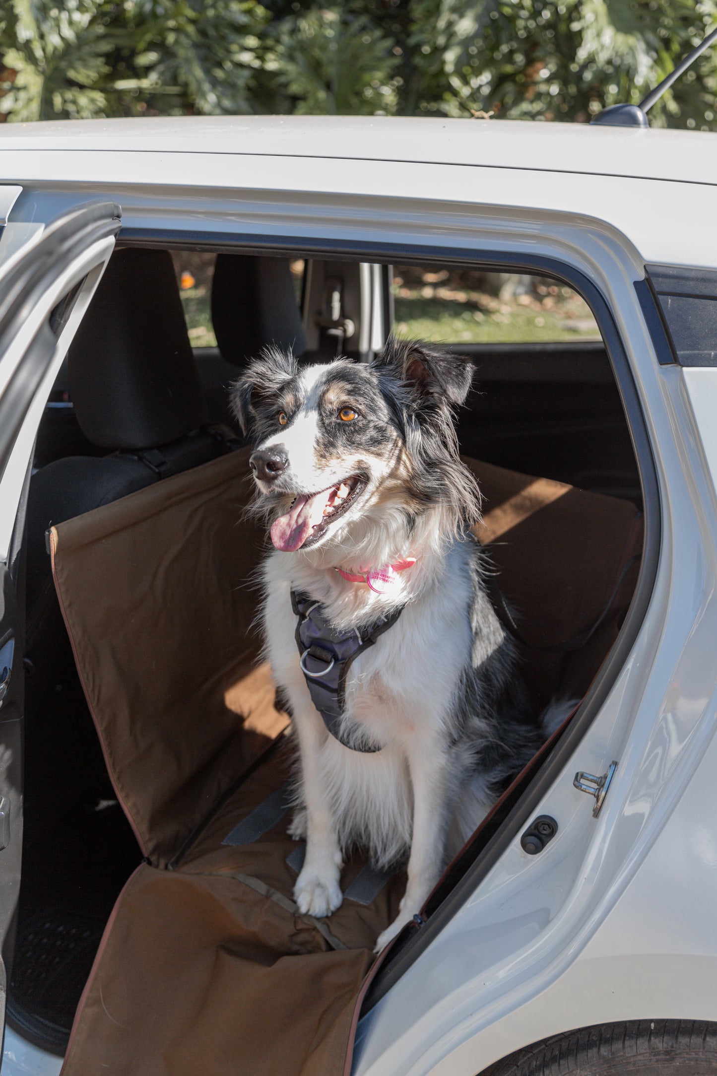 Protector de Automóvil para Mascotas Srpet Talla M – Seguridad, Estilo y Comodidad 🚗🐾