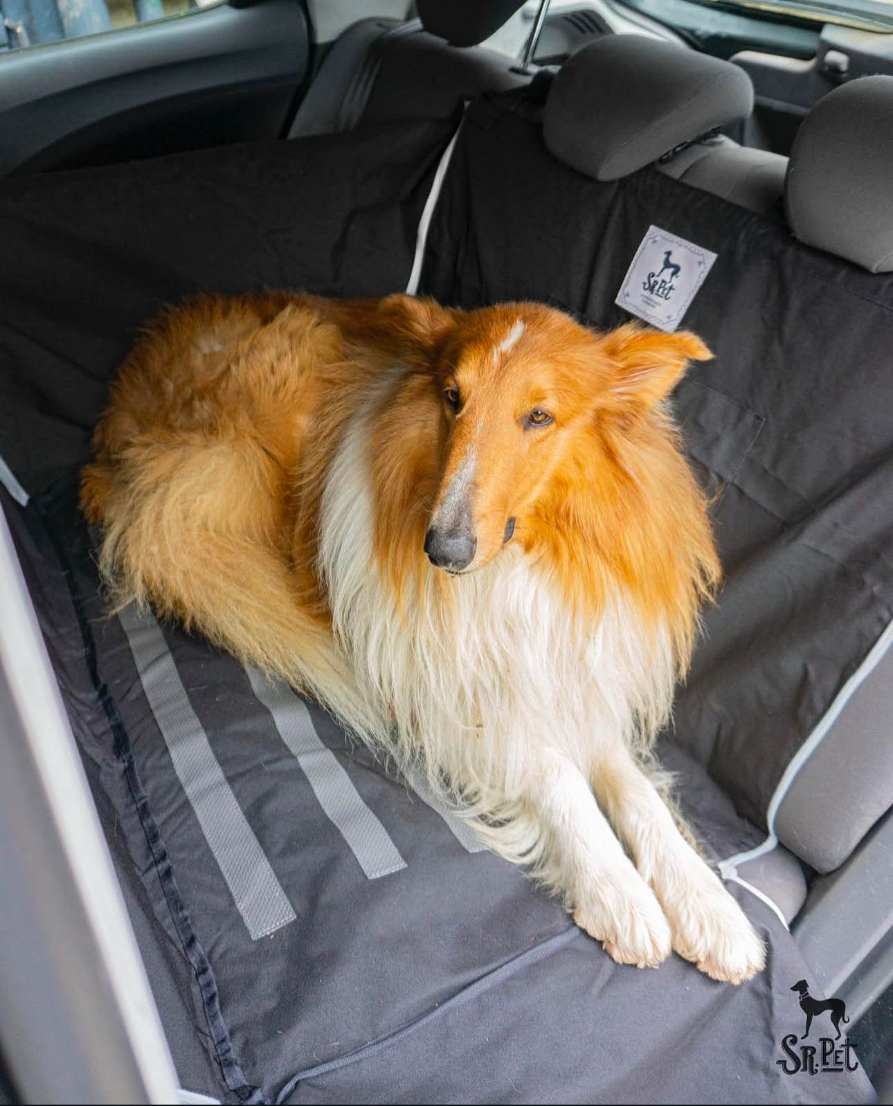 Protector de Automóvil para Mascotas Srpet Talla L – Seguridad, Estilo y Comodidad 🚗🐾