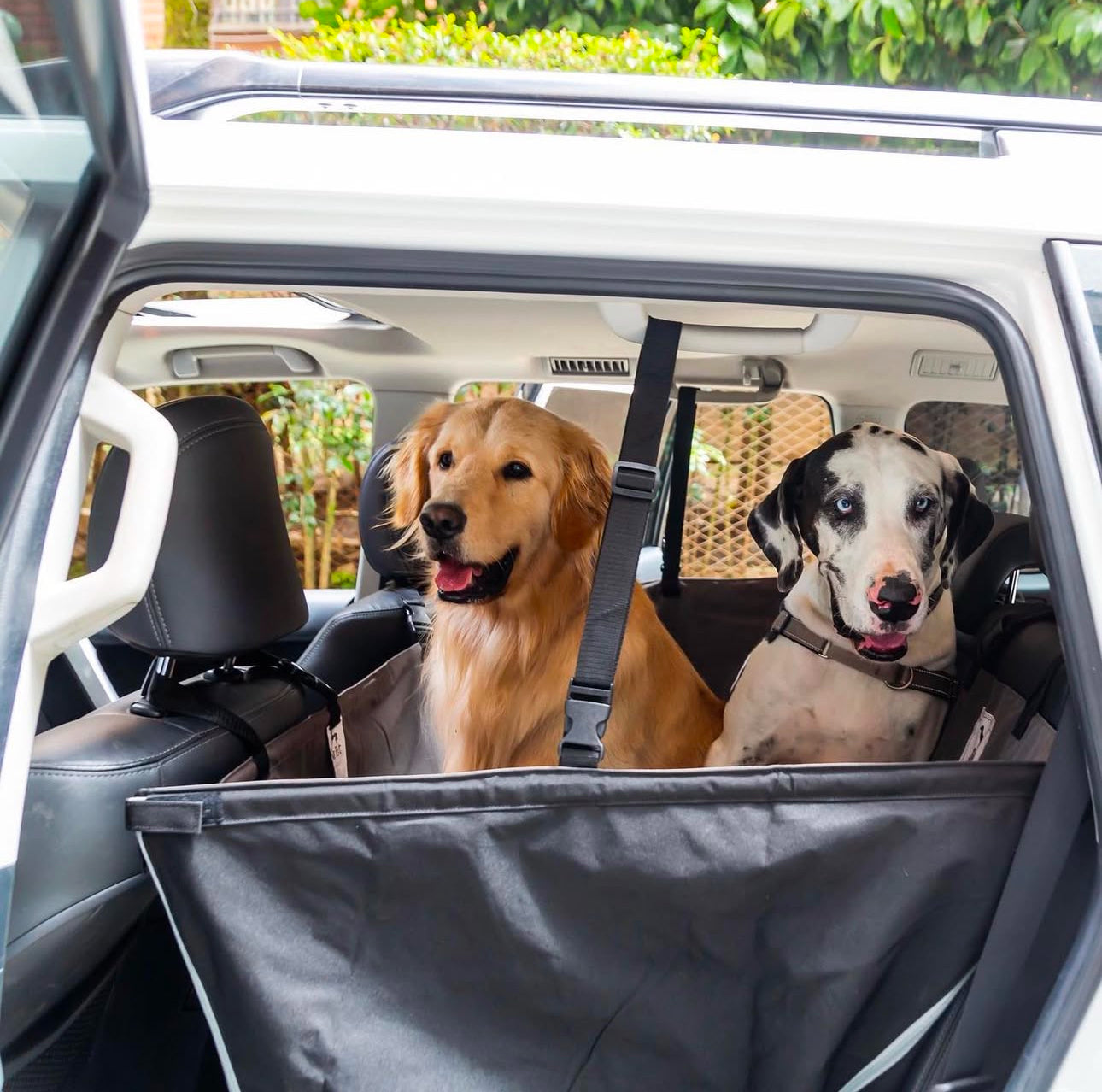 Protector de Automóvil para Mascotas Srpet Talla L – Seguridad, Estilo y Comodidad 🚗🐾