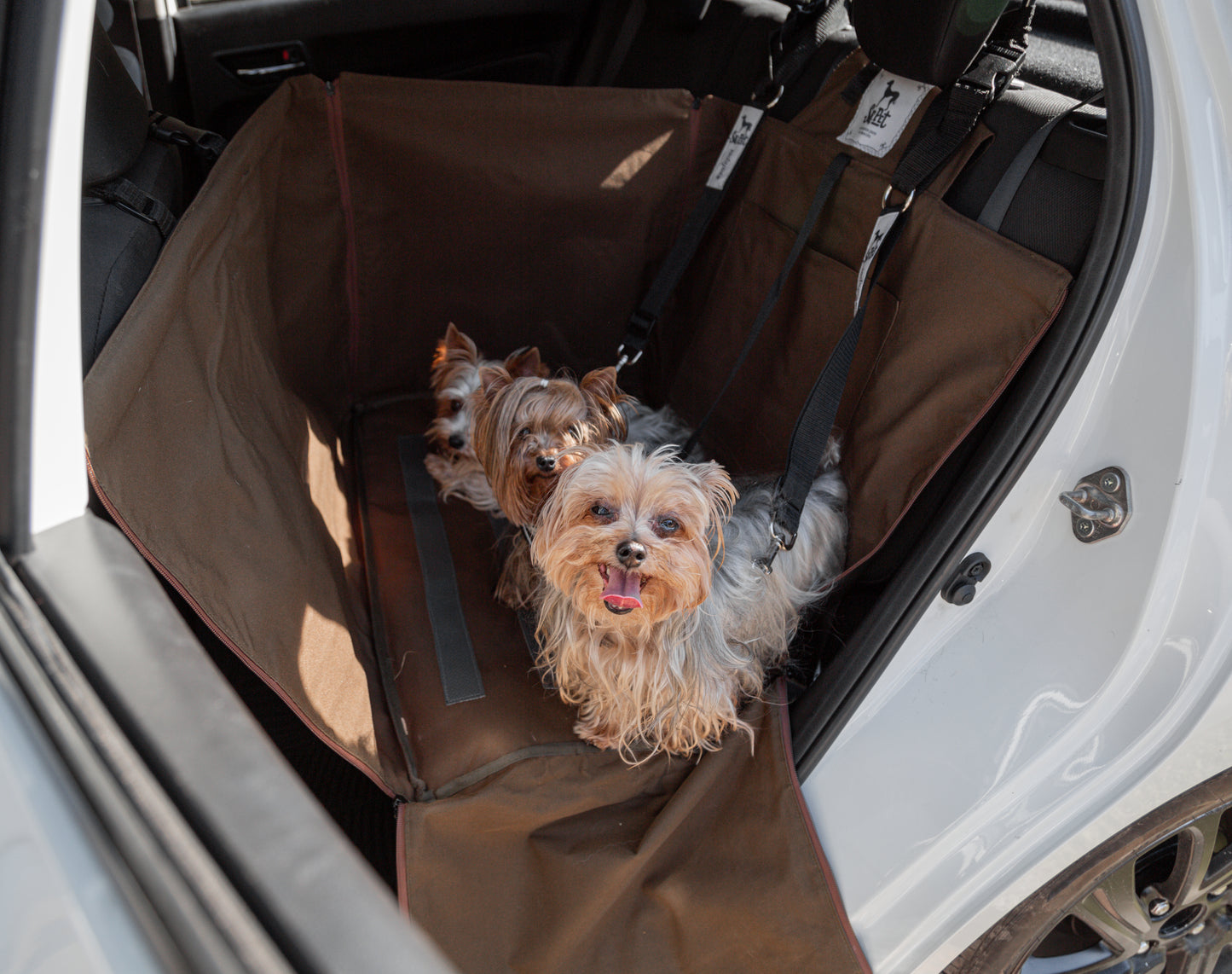 Protector de Automóvil para Mascotas Srpet Talla M – Seguridad, Estilo y Comodidad 🚗🐾