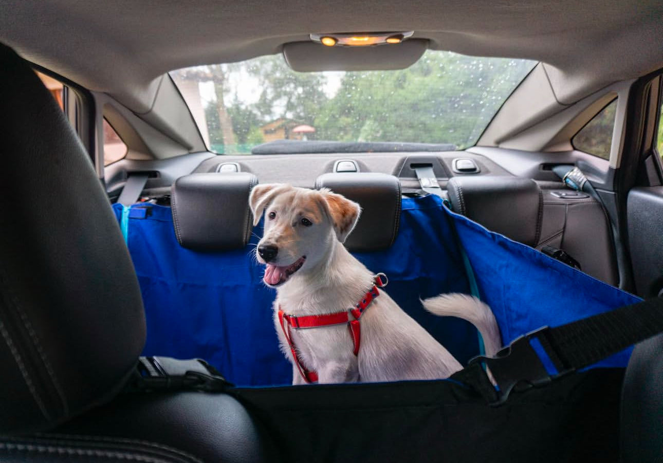 Protector de Automóvil para Mascotas Srpet Talla L – Seguridad, Estilo y Comodidad 🚗🐾
