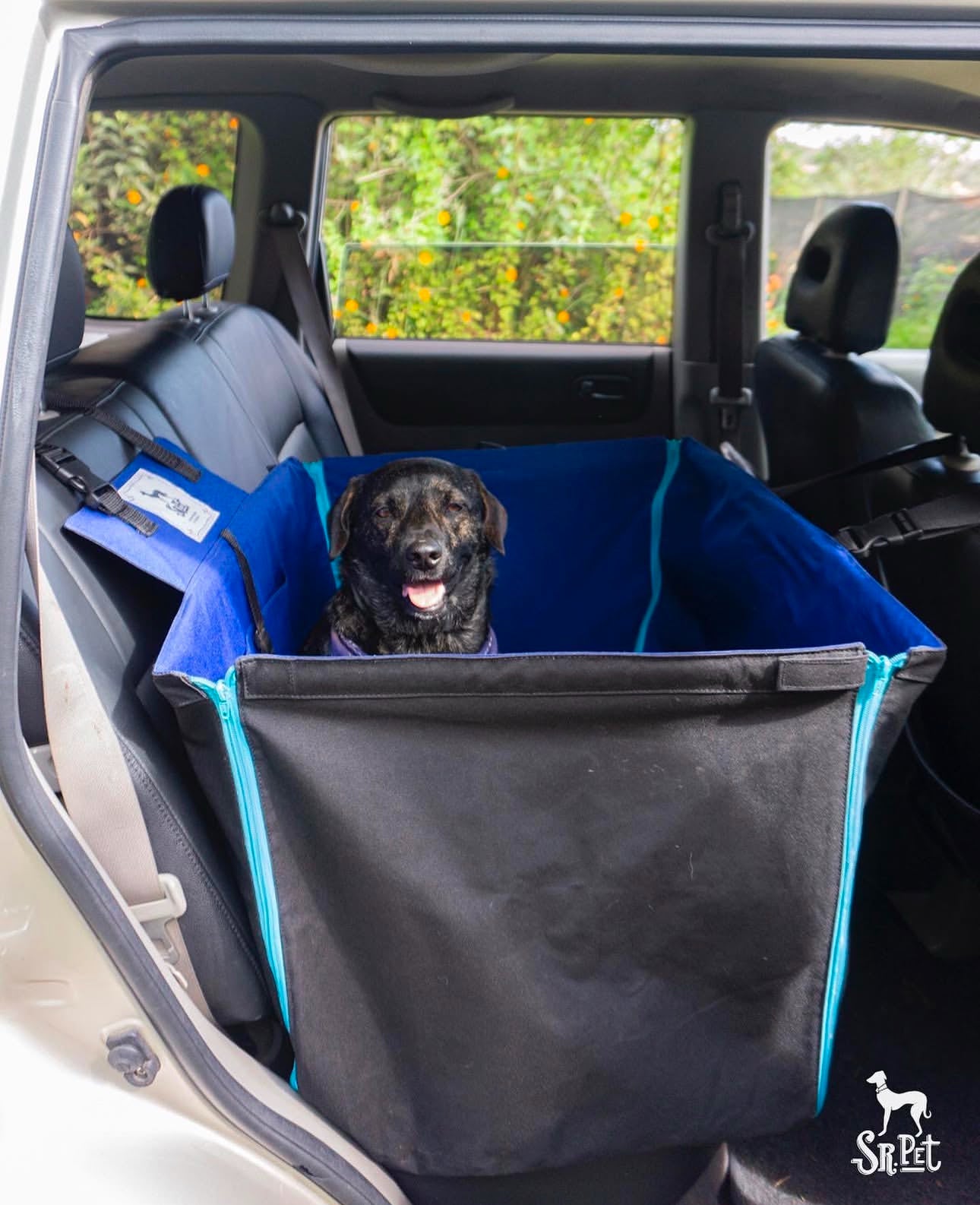 Protector de Automóvil para Mascotas Srpet Talla M – Seguridad, Estilo y Comodidad 🚗🐾