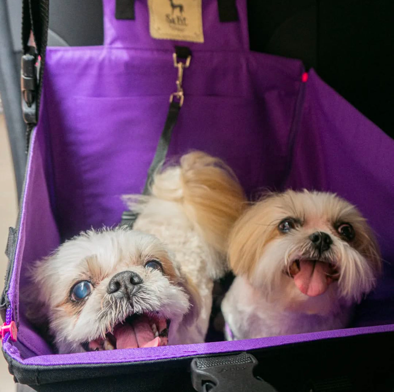 Protector de Automóvil para Mascotas Srpet Talla M – Seguridad, Estilo y Comodidad 🚗🐾