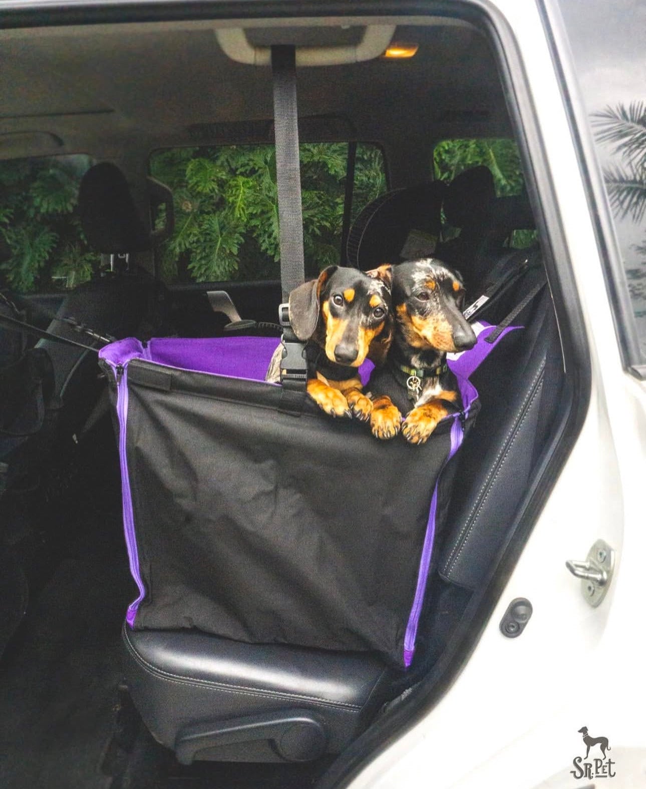 Protector de Automóvil para Mascotas Srpet Talla S – Seguridad, Estilo y Comodidad 🚗🐾