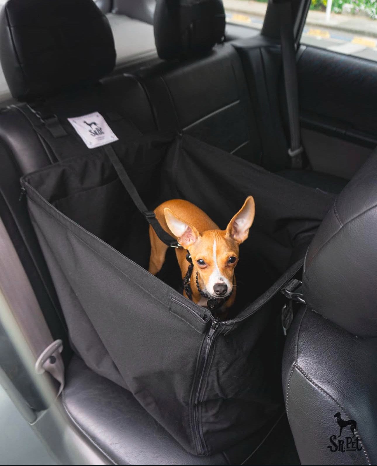 Protector de Automóvil para Mascotas Srpet Talla S – Seguridad, Estilo y Comodidad 🚗🐾