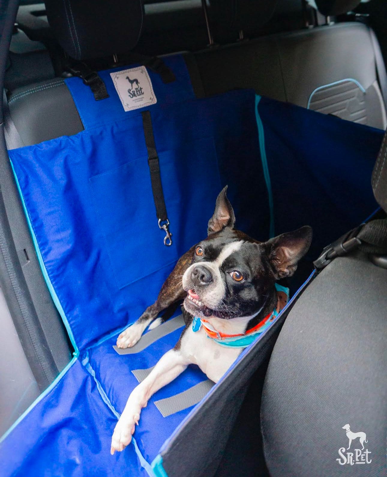 Protector de Automóvil para Mascotas Srpet Talla S – Seguridad, Estilo y Comodidad 🚗🐾