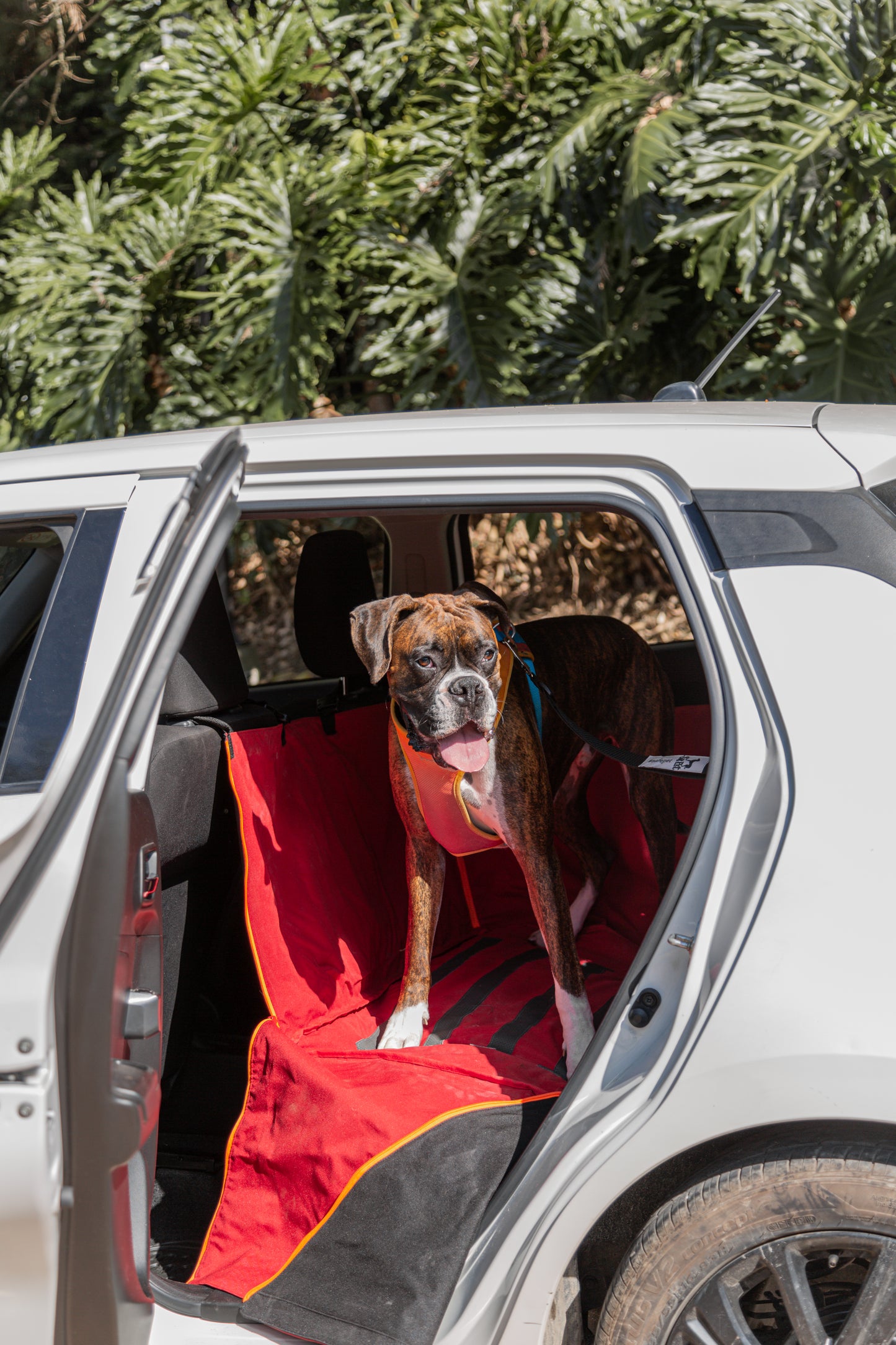Protector de Automóvil para Mascotas Srpet Talla L – Seguridad, Estilo y Comodidad 🚗🐾