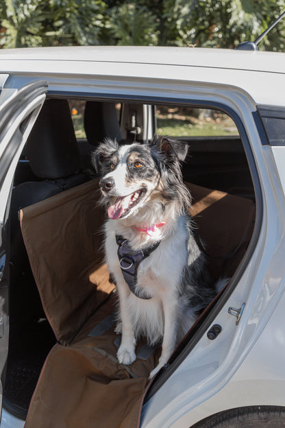 Protector de Automóvil para Mascotas Srpet Talla M – Seguridad, Estilo y Comodidad 🚗🐾
