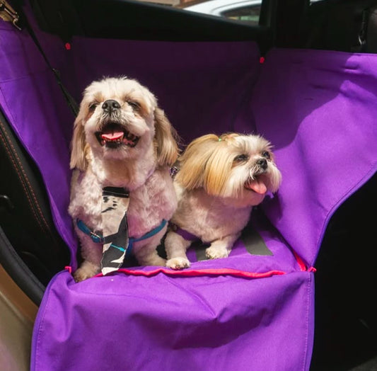 Protector de Automóvil para Mascotas Srpet Talla S – Seguridad, Estilo y Comodidad 🚗🐾